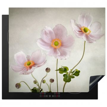 Protezione piano induzione - Pittura antica di anemone rosa