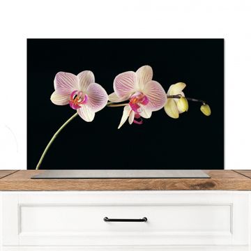 Paraschizzi - Eleganza dell'orchidea a strisce